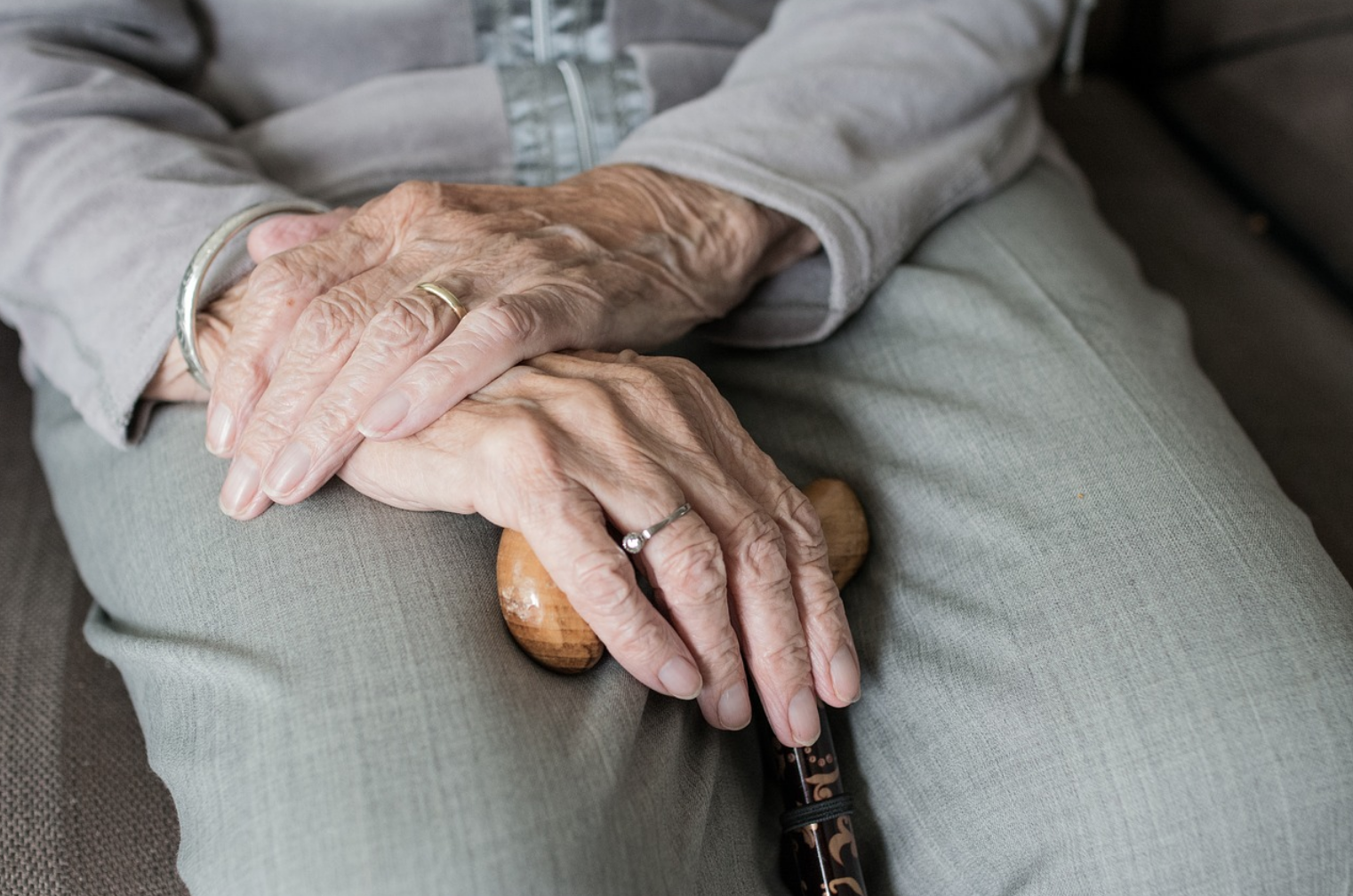 Festa dei nonni, Pro Vita & Famiglia: «La dedichiamo agli anziani morti e a quelli nella solitudine» 1